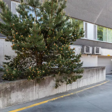 Apartment Your Dream Flat In The Centre + Free Parking Tallinn